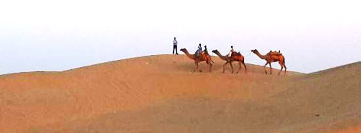 725/Rojani Resort - Sam Sand Dunes 10.jpg